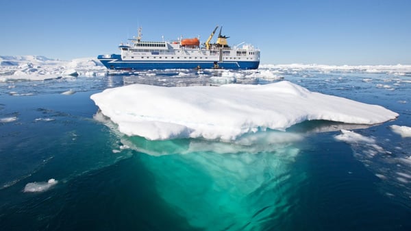 Falklands & South Georgia